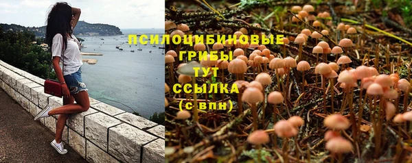 а пвп мука Арсеньев