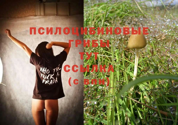 а пвп мука Арсеньев